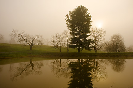 Foggy Morning on a Pantops Mountain Pond, Albemarle County, VA